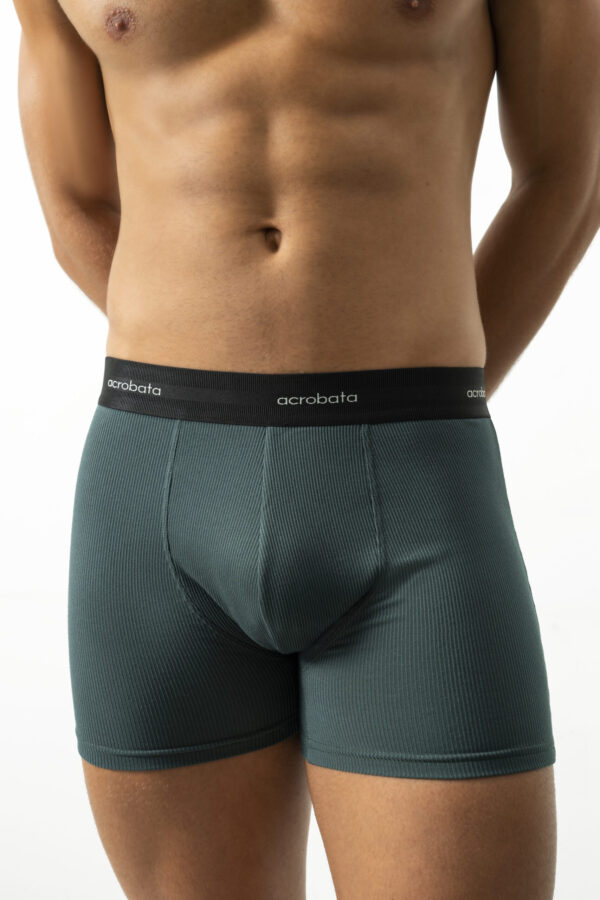 ACROBATA 5133 BOXER DE MORLEY - Imagen 2