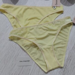 DOLCISIMA NAVIDAD P951-02B LATITA X2 VEDETINAS AMARILLAS – Éxito y abundancia 🎁🎅🏻